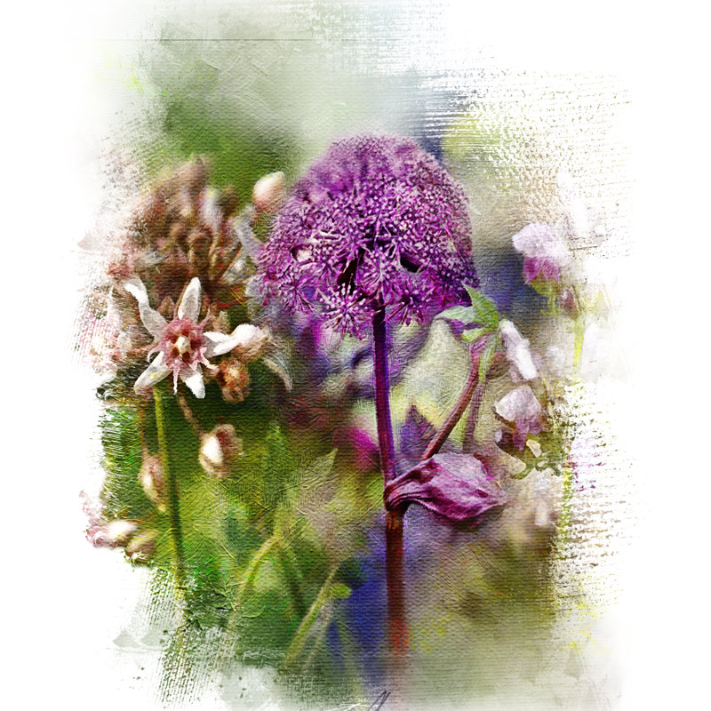 A watercolor-style image of purple and white flowers in a soft, artistic garden scene.